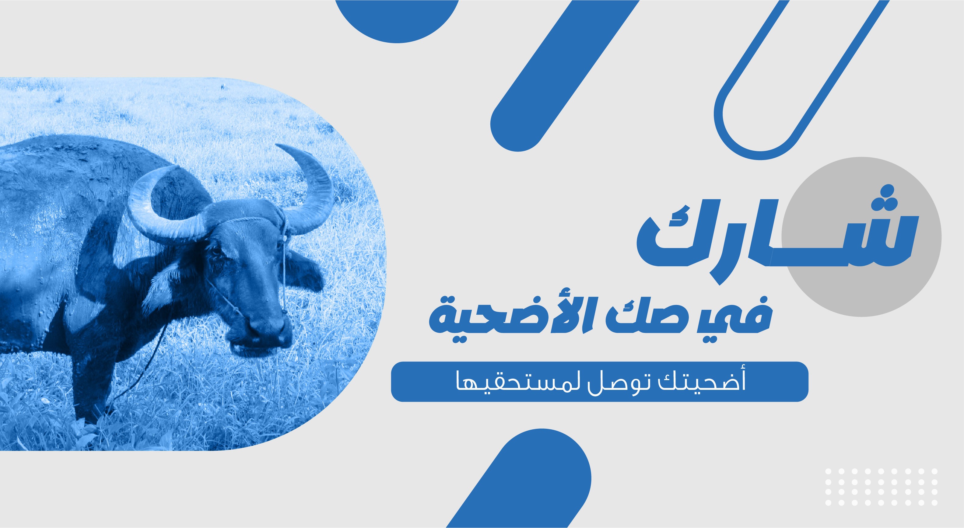 صك أضحية مشكاة نور